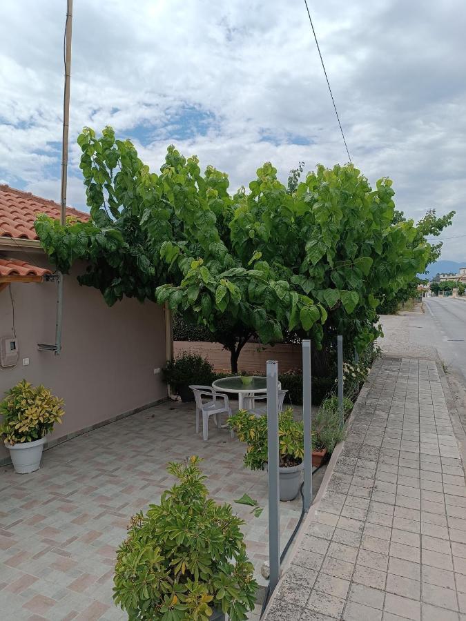 Chrysa'S House Apartment Aigio Exterior foto